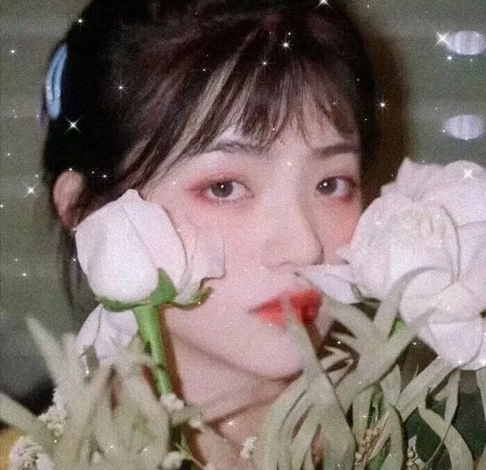 黑狐之风影